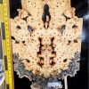 Buckeye Burl bookmatched guitar top set