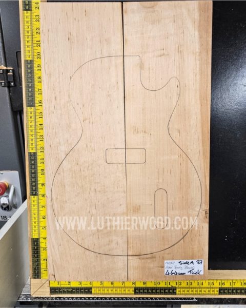 Alder 2 Piece Guitar & Bass Body Blank Set