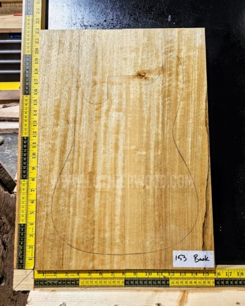 Korina / White Limba Guitar Body Blank Set