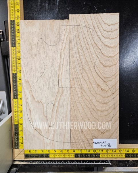 Swamp Ash 2 Piece Guitar & Bass Body Blank